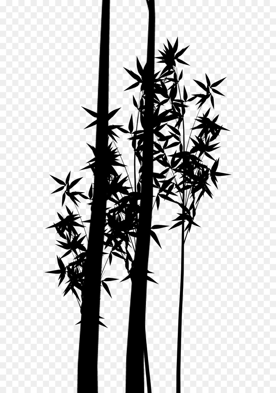 Silhouette Plant stem Bamboo Branching Plants -  png download - 610*1280 - Free Transparent Silhouette png Download.