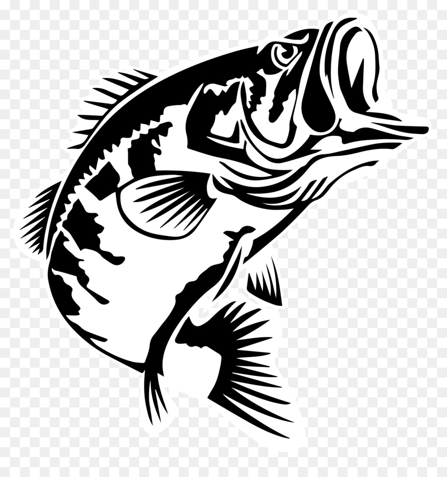 Bass fishing Largemouth bass 2016 Bassmaster Classic Bass Anglers Sportsman Society - fishing png download - 3012*3210 - Free Transparent BASS Fishing png Download.