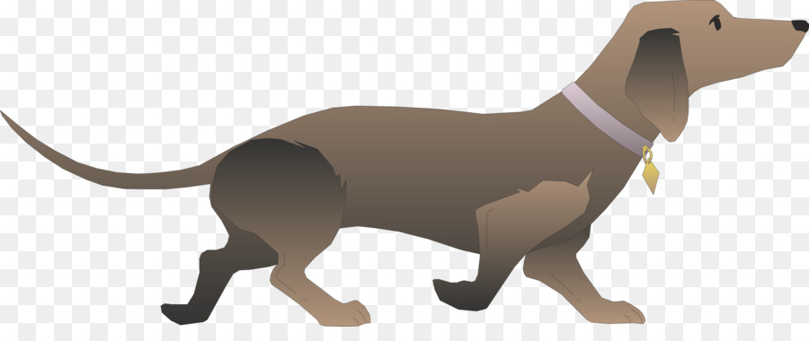Dachshund Basset Hound Puppy Dog walking Clip art - dog cartoon png download - 5000*2023 - Free Transparent Dachshund png Download.