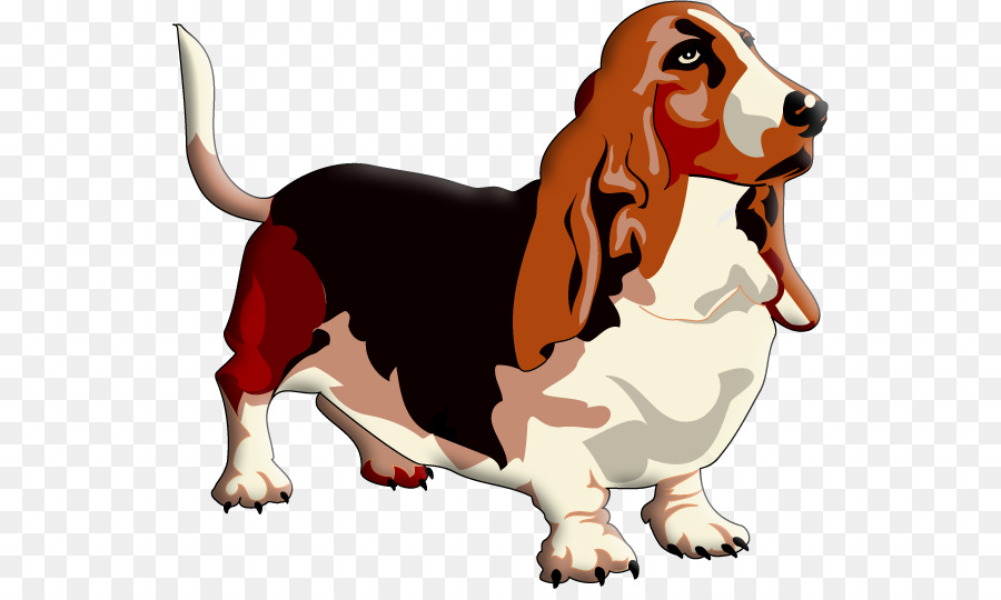 Basset Hound Clip art - puppy png download - 591*530 - Free Transparent Basset Hound png Download.