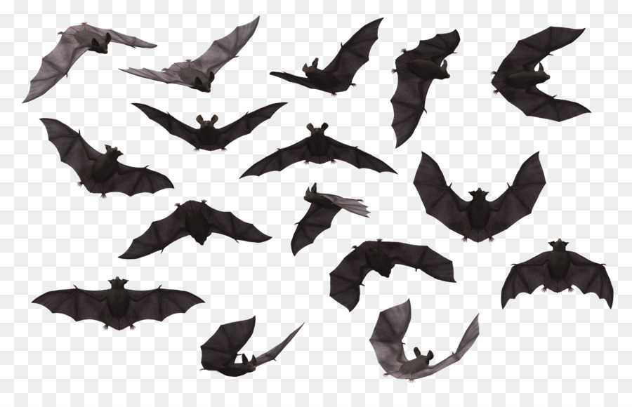 Bat Clip art - A variety of positions bat silhouette png download - 3808*2400 - Free Transparent Bat png Download.