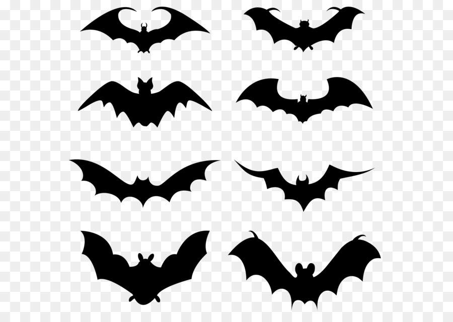 Bat family png download - 1956*1902 - Free Transparent Bat png Download.