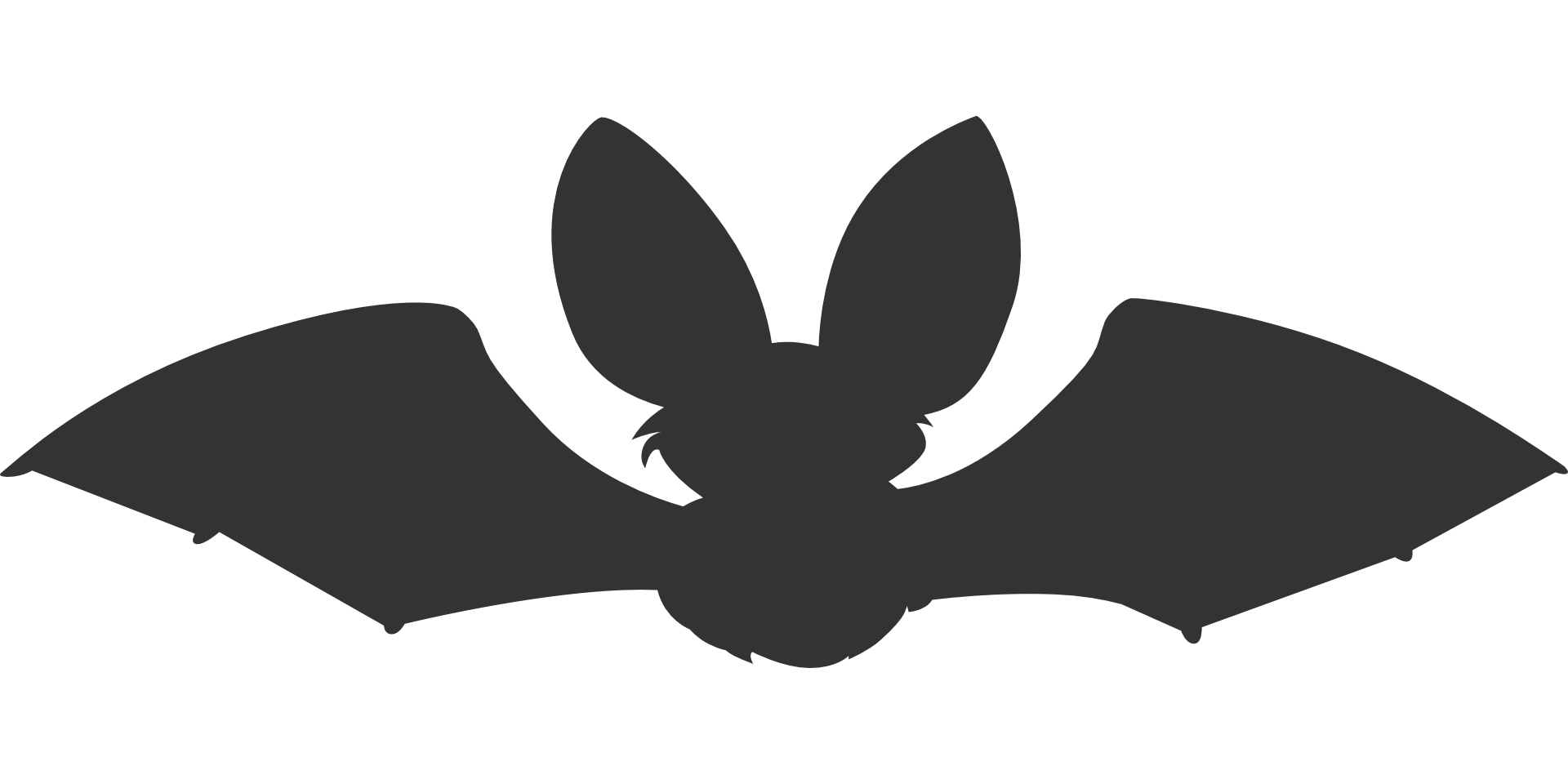 bat silhouette animal
