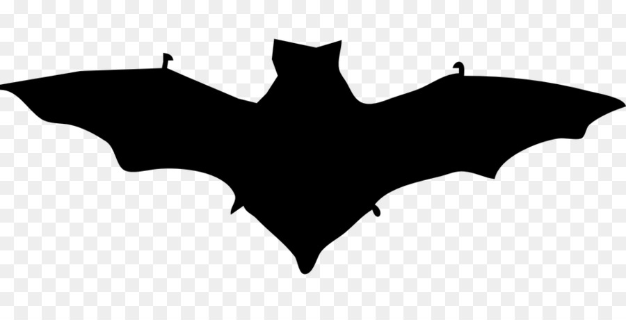 Bat Silhouette Clip art - bat Silhouette png download - 960*480 - Free Transparent Bat png Download.