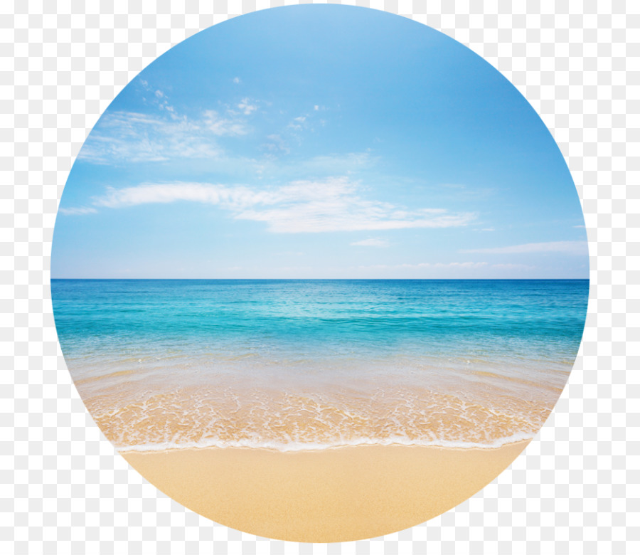 Beach Shore Clip art - beach png download - 768*768 - Free Transparent Beach png Download.