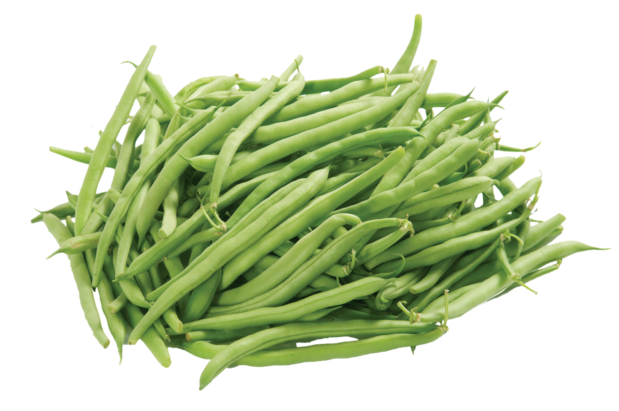 Green Beans Vector Png Clipart Background Png Play - vrogue.co