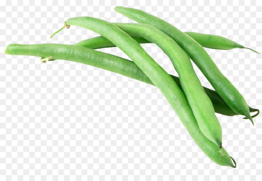 Green bean Vegetable Garlic - Green Beans png download - 1458*975 - Free Transparent Philippine Adobo png Download.