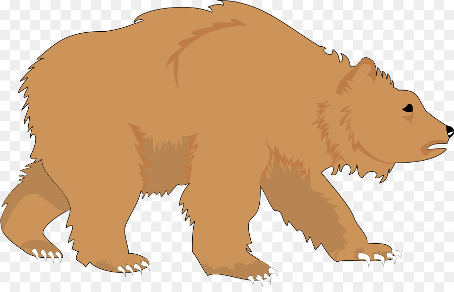 Brown bear American black bear Polar bear Clip art - Bear Cliparts png download - 900*568 - Free Transparent  png Download.