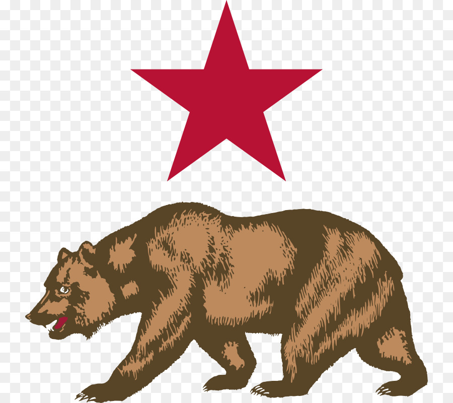 California grizzly bear California Republic Flag of California - Free Bear Clipart png download - 800*800 - Free Transparent California png Download.