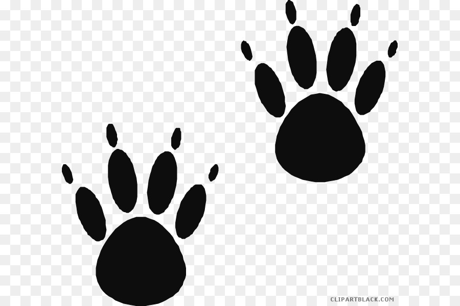 American black bear Paw Clip art Cat - bear png download - 660*600 - Free Transparent Bear png Download.