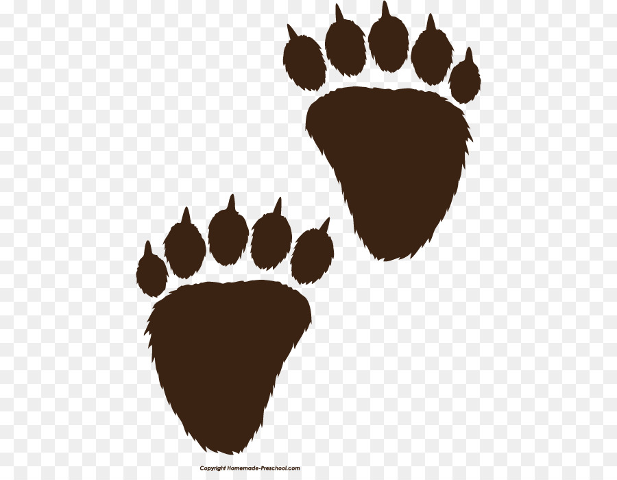 American black bear Polar bear Paw Clip art - claw png download - 504*688 - Free Transparent Bear png Download.