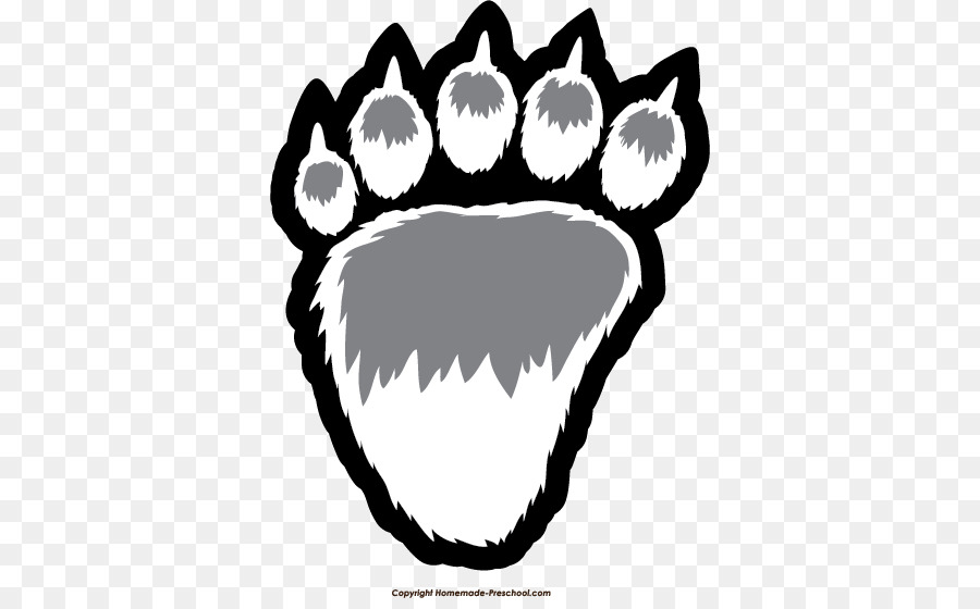 American black bear Paw Polar bear Clip art - bear png download - 404*550 - Free Transparent Bear png Download.
