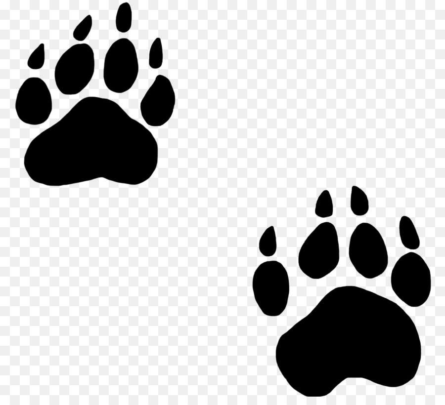 Bear Paw Dog Cat Clip art - Animal Footprints Cliparts png download - 1654*1476 - Free Transparent Bear png Download.