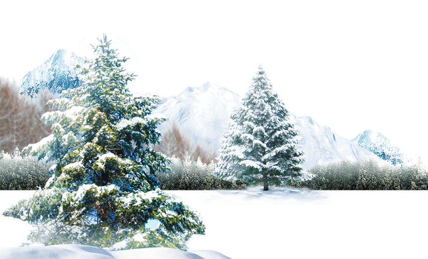 Polar bear Winter Light Wallpaper - Winter scene png download - 866*525 ...