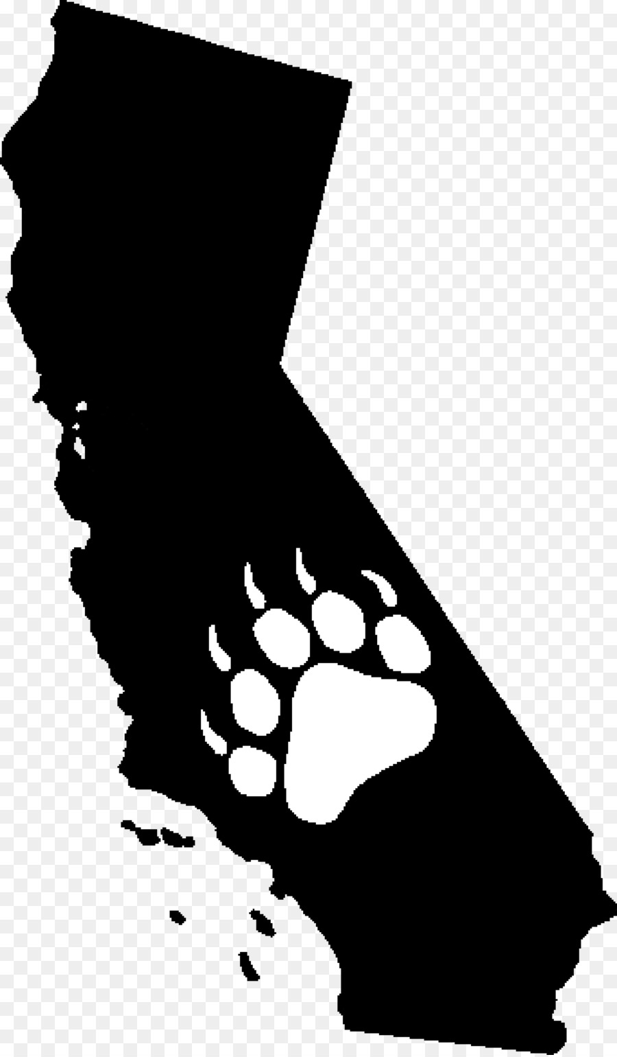 Los Angeles American black bear California grizzly bear Frazier Industrial Co Clip art - California Bear png download - 3000*5123 - Free Transparent Los Angeles png Download.