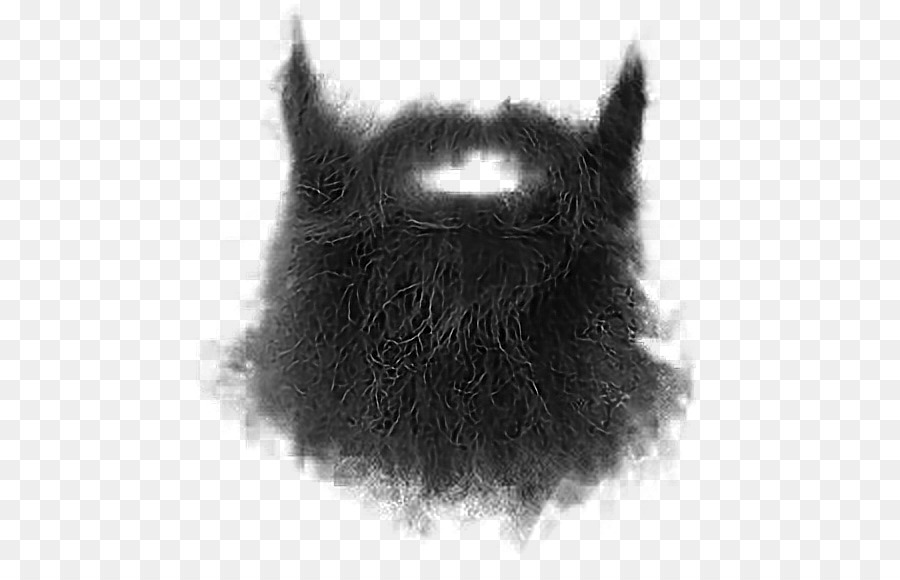 Beard Whiskers Moustache Goatee - Beard png download - 536*572 - Free Transparent Beard png Download.