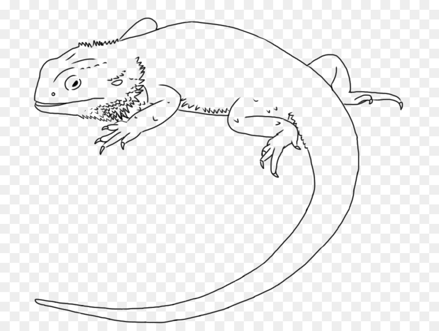 Lizard Drawing Central Bearded Dragon Line art Clip art - lizard png download - 1024*768 - Free Transparent Lizard png Download.