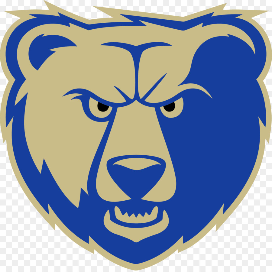 Chicago Bears Logotipos 2 Grizzly bear - bear png download - 1350*1343 - Free Transparent Bear png Download.