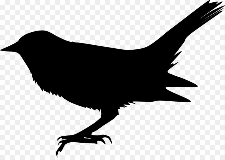 Silhouette Blackbird The Beatles Song - Silhouette png download - 969*683 - Free Transparent Silhouette png Download.