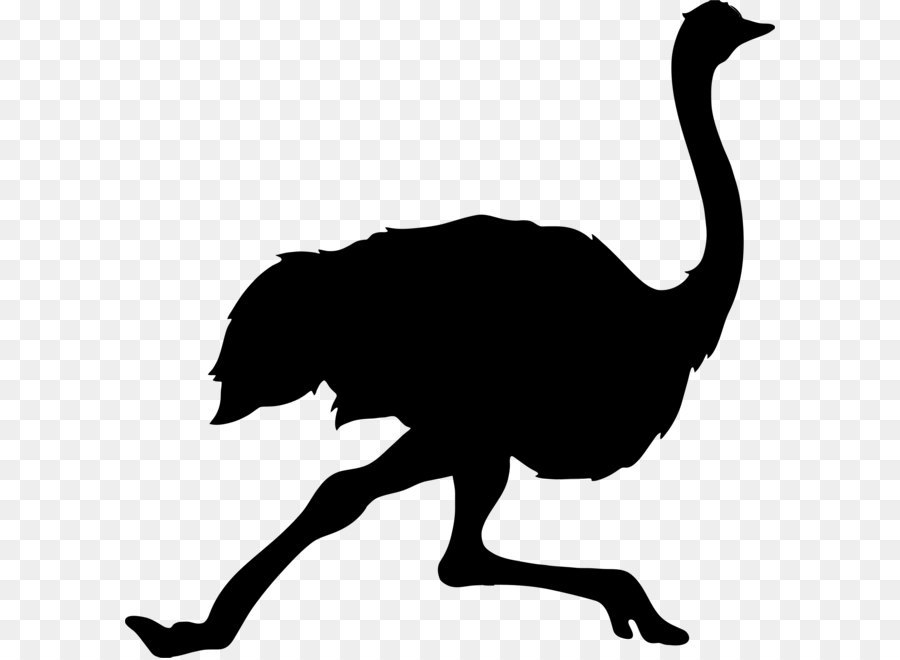 Common ostrich Bird Silhouette Clip art - Ostrich PNG png download - 2246*2272 - Free Transparent Common Ostrich png Download.