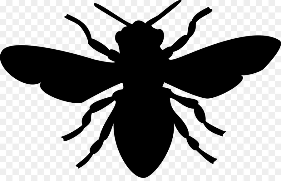 European dark bee Silhouette Clip art - bee png download - 960*608 - Free Transparent Bee png Download.