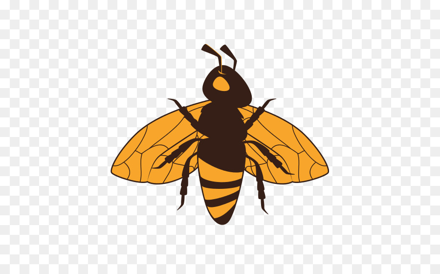 Vector graphics Royalty-free Stock photography Bee Illustration - bumblebee insect png download - 550*550 - Free Transparent Royaltyfree png Download.