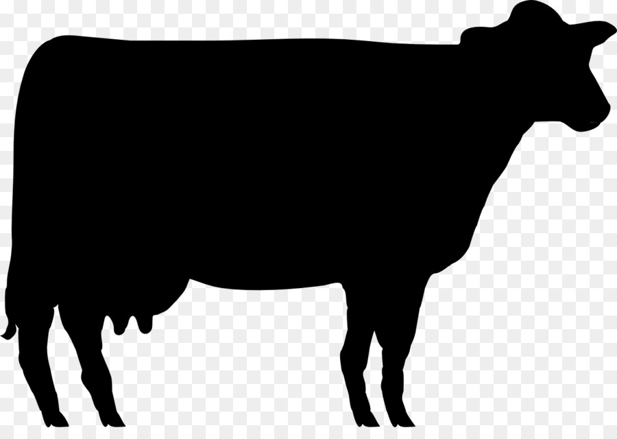 Shorthorn Angus cattle Beef cattle Hereford cattle Jersey cattle - others png download - 1290*893 - Free Transparent Shorthorn png Download.