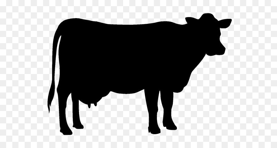 Jersey cattle Holstein Friesian cattle Beef cattle Silhouette Clip art - Silhouette png download - 685*480 - Free Transparent Jersey Cattle png Download.
