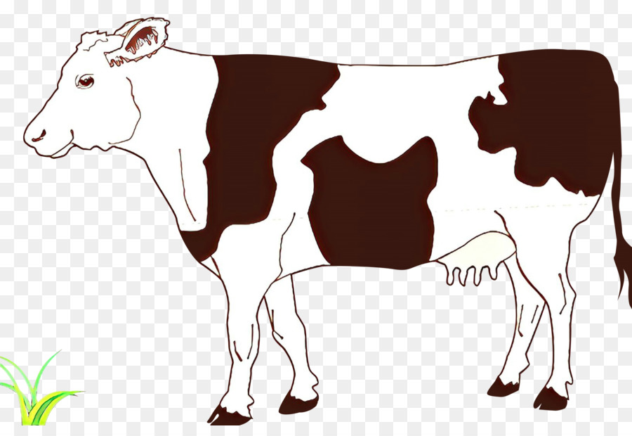 Clip art Vector graphics Ayrshire cattle Drawing Beef cattle -  png download - 2400*1612 - Free Transparent Ayrshire Cattle png Download.