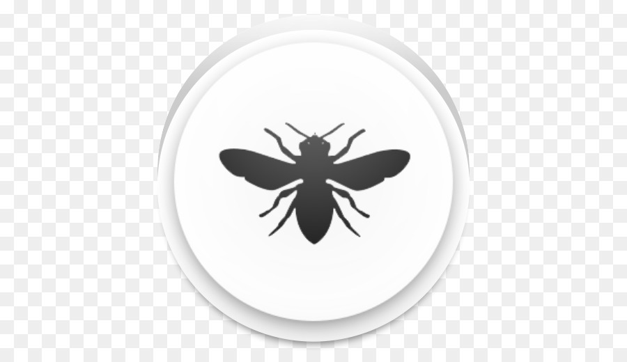 European dark bee Insect Beehive - bee png download - 512*512 - Free Transparent European Dark Bee png Download.