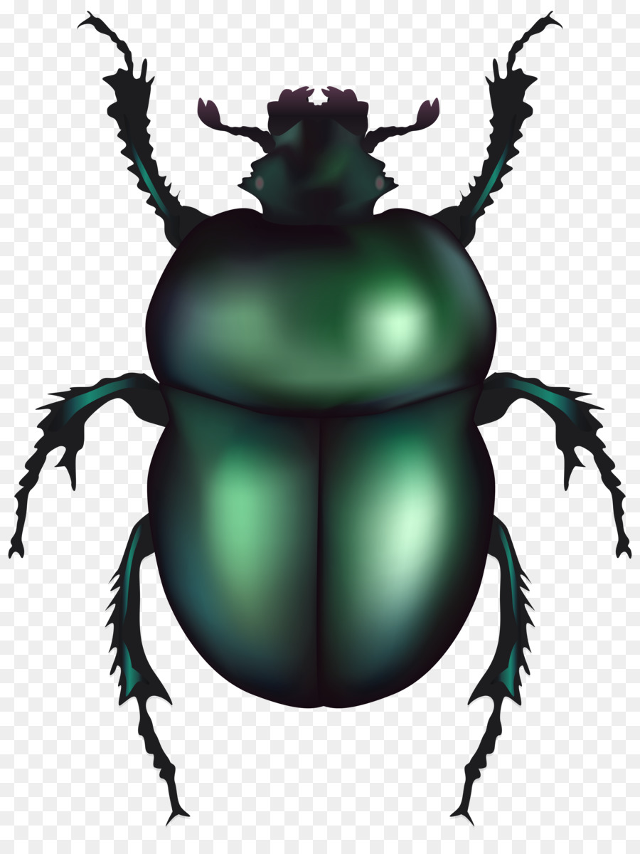 Volkswagen Beetle Dung beetle Clip art - insect png download - 6101*8000 - Free Transparent Beetle png Download.