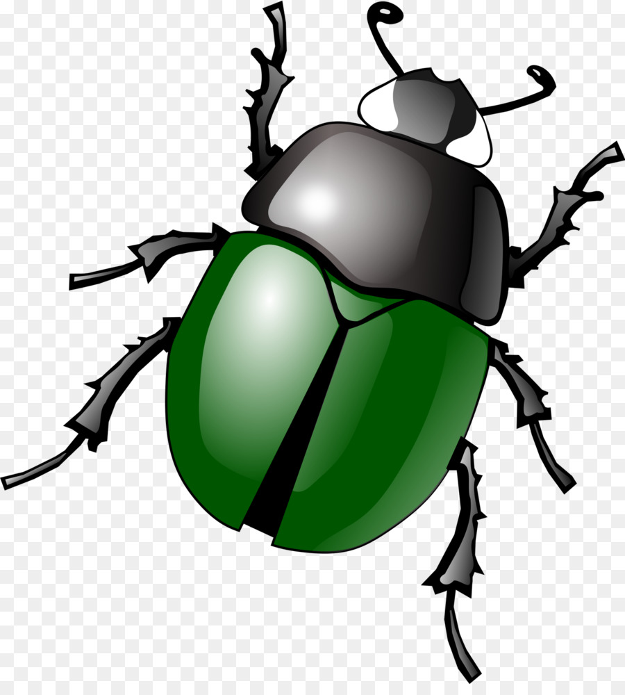 Beetle Clip art - beetle png download - 1462*1600 - Free Transparent Beetle png Download.