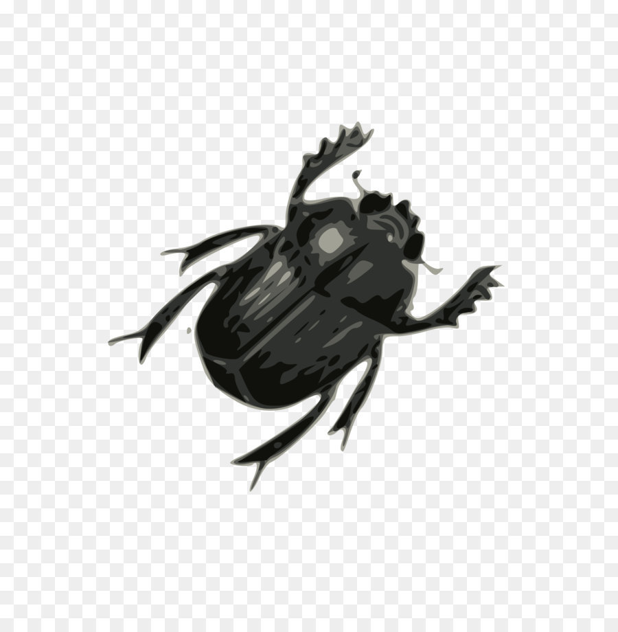 Beetle Clip art - bug PNG image png download - 1697*2400 - Free Transparent Beetle png Download.