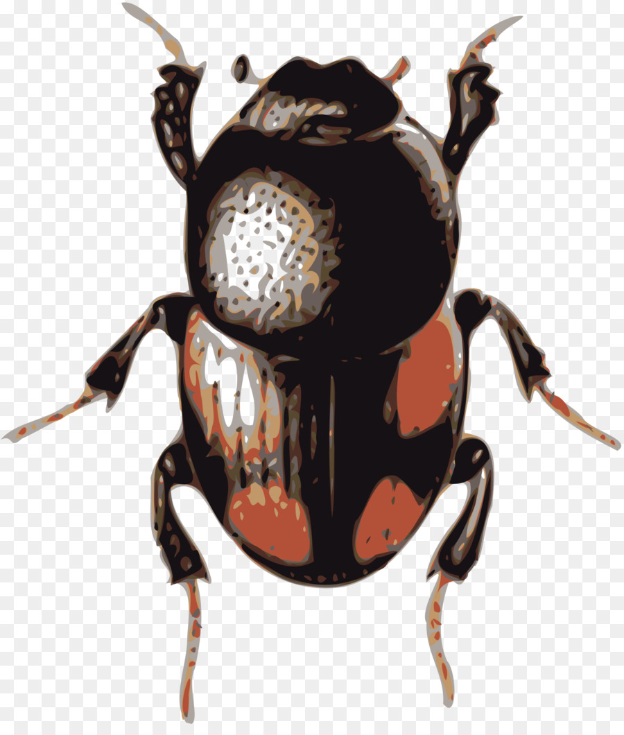 Volkswagen Beetle Clip art - bugs png download - 2067*2400 - Free Transparent Beetle png Download.
