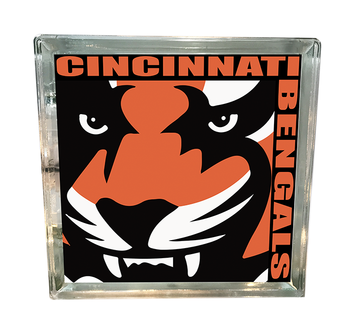 Cincinnati Bengals Alternate Logo