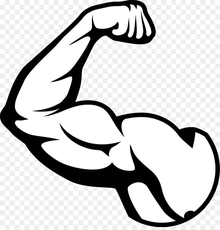 Biceps Arm Muscle - muscle png download - 1080*1113 - Free Transparent Biceps png Download.