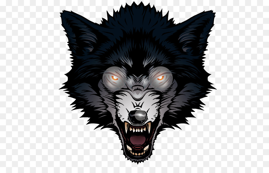 Gray wolf Big Bad Wolf - Ferocious wolf png download - 567*567 - Free Transparent Gray Wolf png Download.