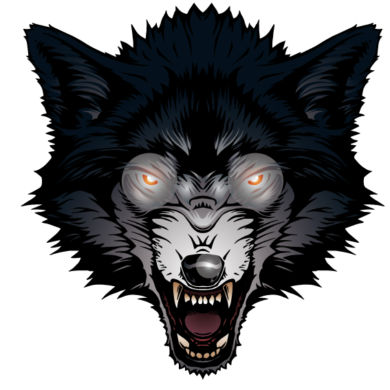 Gray wolf Big Bad Wolf - Ferocious wolf png download - 567*567 - Free ...