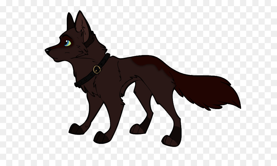 Schipperke Red fox Big Bad Wolf Carnivora - fox png download - 704*528 - Free Transparent Schipperke png Download.