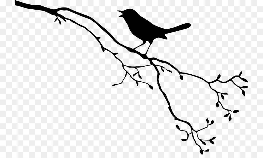Bird Royalty-free Drawing - border branches png download - 800*528 - Free Transparent Bird png Download.