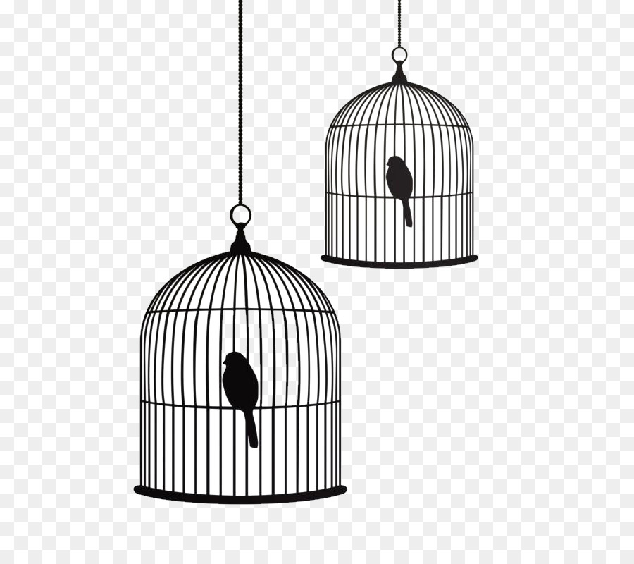 Birdcage Stencil Drawing - bird png download - 600*800 - Free Transparent Bird png Download.