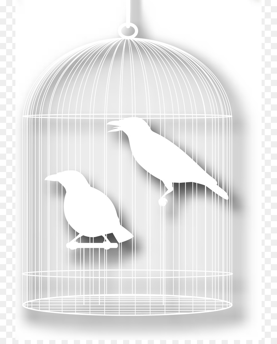 Bird Cartoon Silhouette - bird cage png download - 800*1107 - Free Transparent Bird png Download.