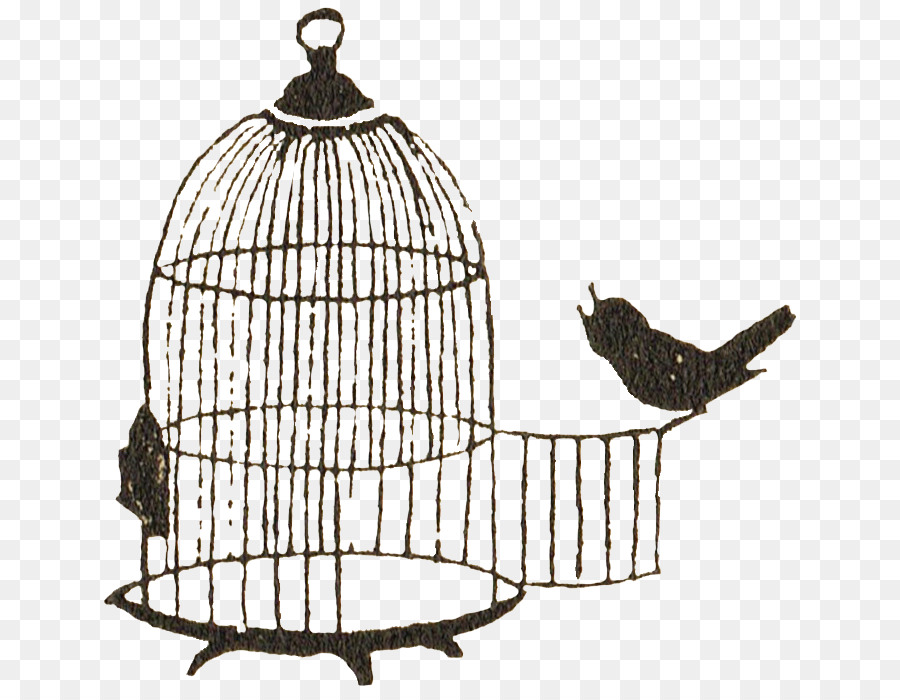 Birdcage Clip art - birdcage png download - 720*695 - Free Transparent Bird png Download.
