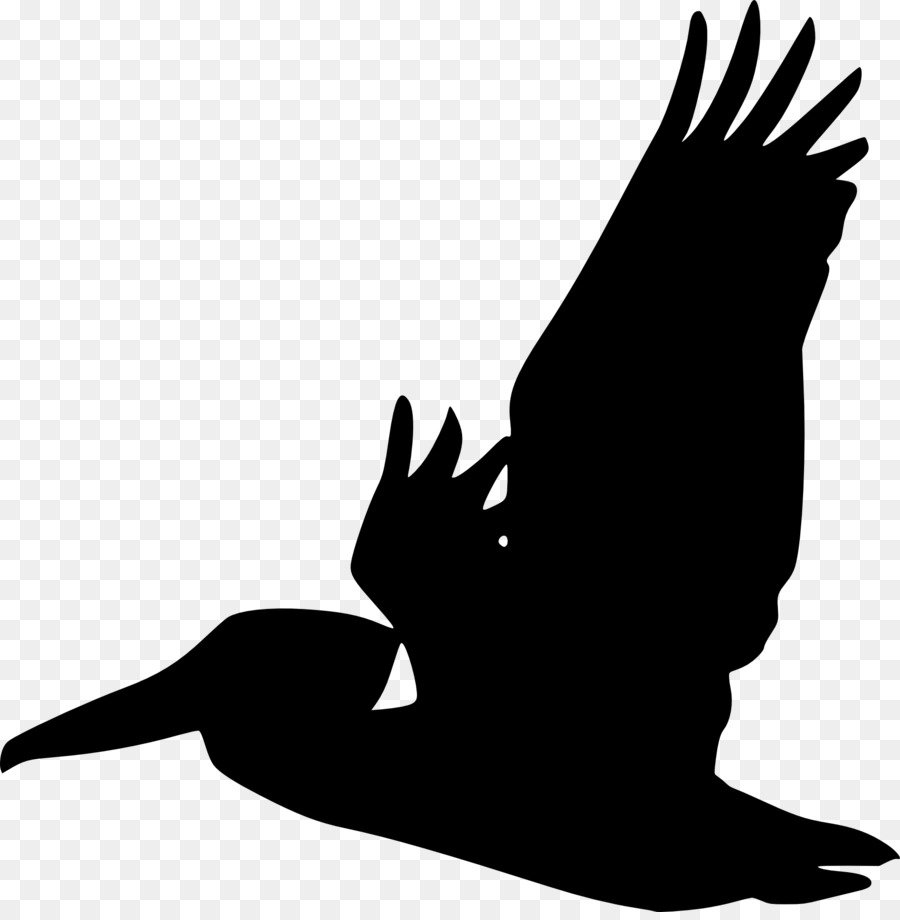 Pelican Bird Silhouette Clip art - Bird png download - 1895*1920 - Free Transparent Pelican png Download.