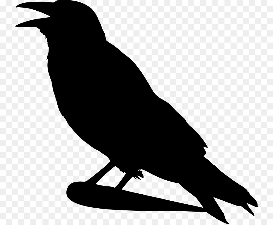 Bird Crow Silhouette Clip art - silhouettes png download - 800*737 - Free Transparent Bird png Download.
