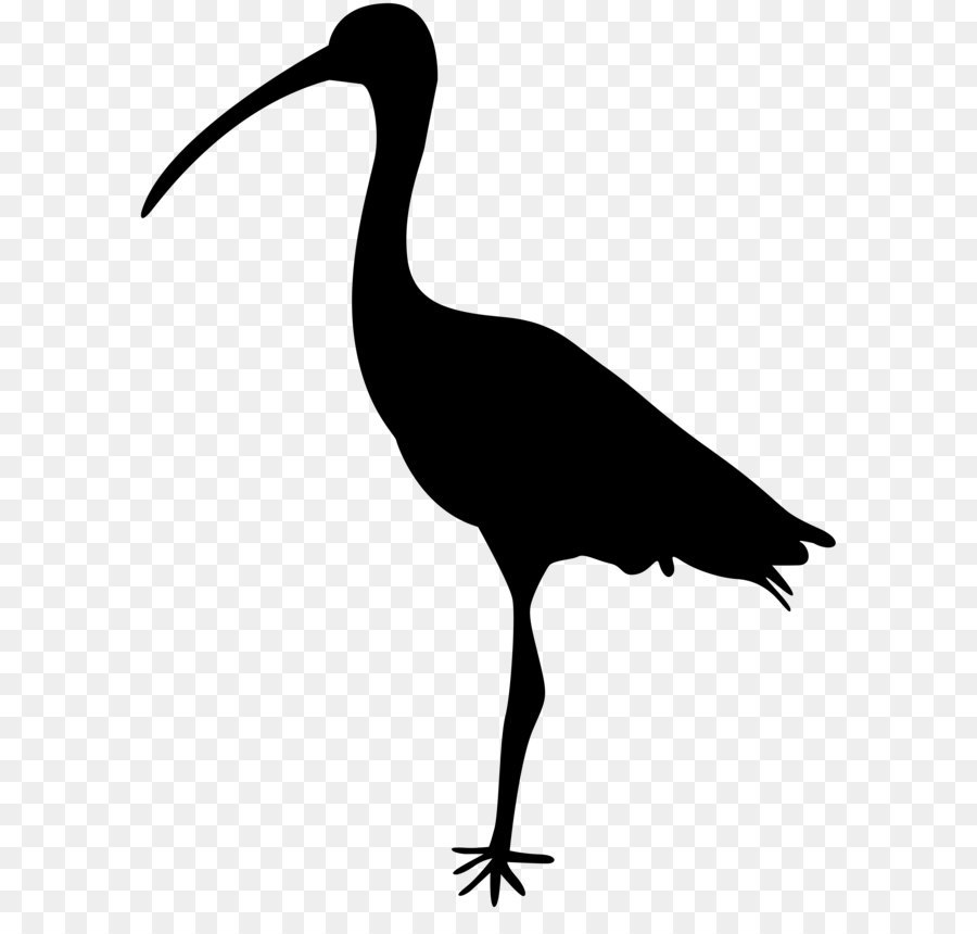 Bird Crane Silhouette Clip art - Bird Silhouette PNG Clip Art Image png download - 6189*8000 - Free Transparent Bird png Download.