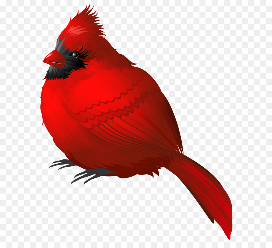Winter Bird Clip art - Red Winter Bird PNG Clipart Image png download - 4925*6068 - Free Transparent Bird png Download.