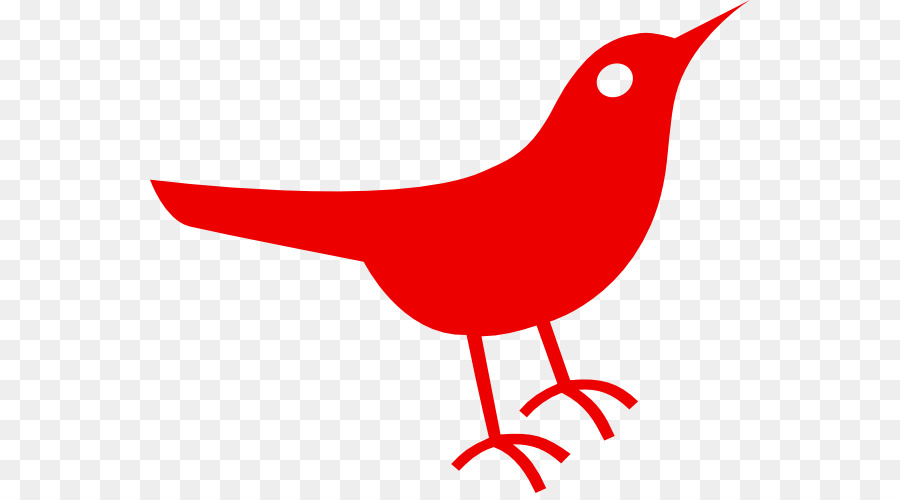 Bird European robin Clip art - Red Bird Clipart png download - 600*493 - Free Transparent Bird png Download.