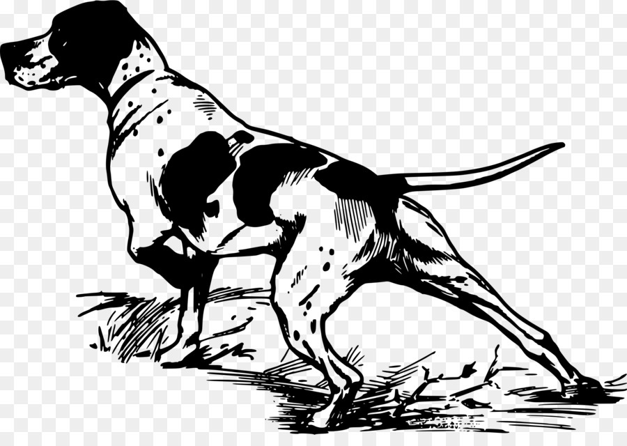 Pointer Greyhound Bird dog Hunting Clip art - pug vector png download - 2400*1664 - Free Transparent Pointer png Download.