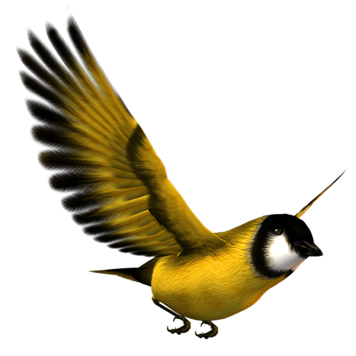 yellow bird flying png

